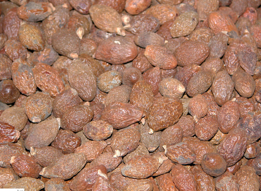 Pang Dahai
